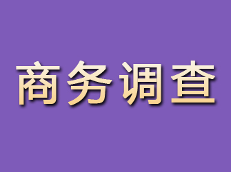 乌兰浩特商务调查